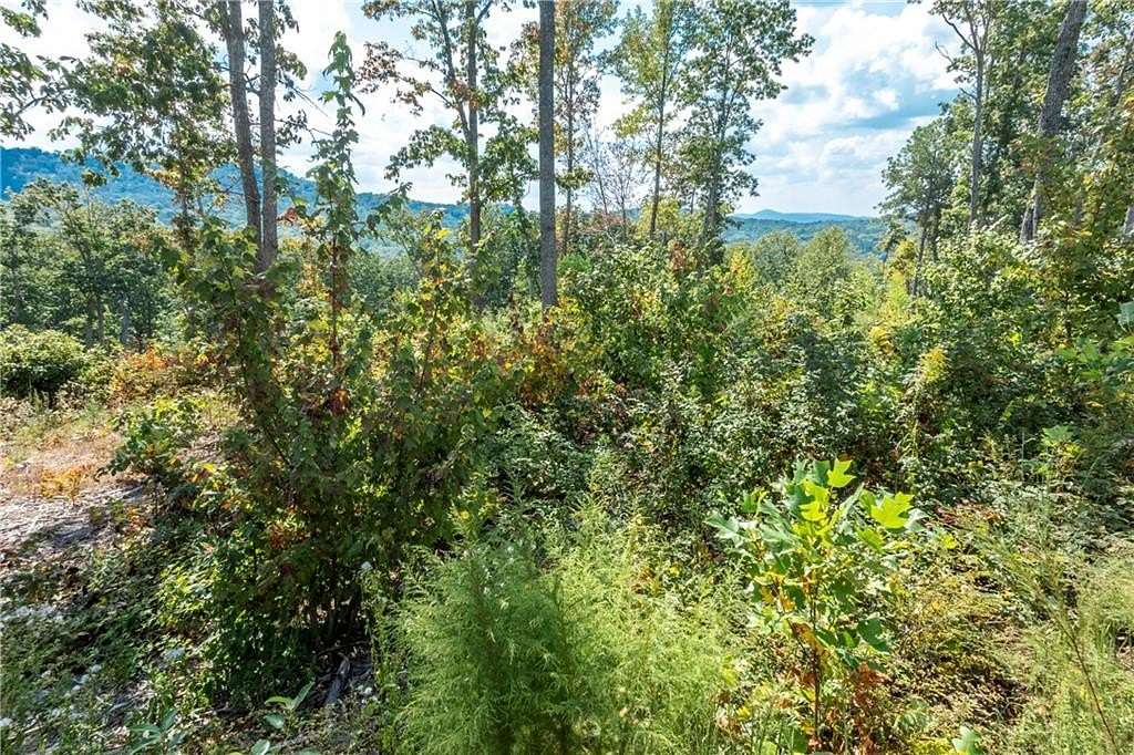 2.17 Acres of Residential Land for Sale in Talking Rock, Georgia