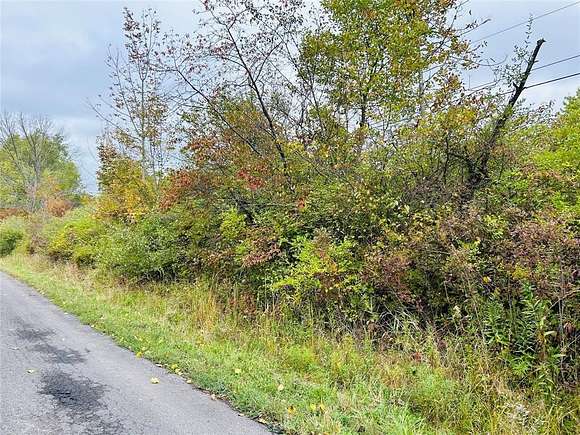 10.73 Acres of Land for Sale in Windsor, New York