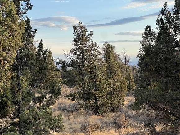 35.6 Acres of Land for Sale in Prineville, Oregon