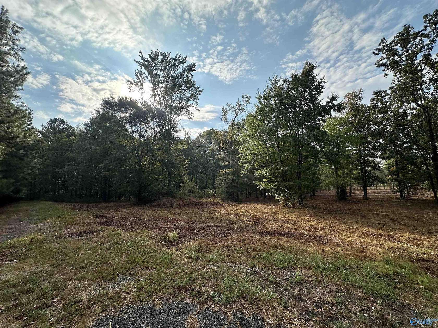 7.66 Acres of Residential Land for Sale in Centre, Alabama