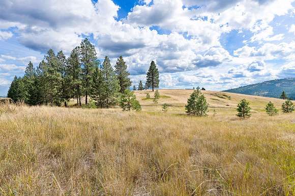 23.3 Acres of Land for Sale in Kalispell, Montana