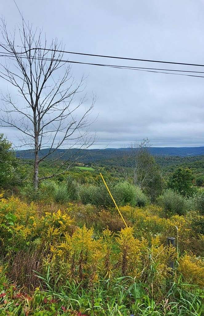 10 Acres of Recreational Land for Sale in Wellsburg, New York