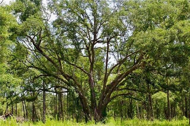 1.658 Acres of Residential Land for Sale in Covington, Louisiana