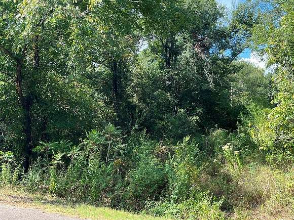 5 Acres of Land for Sale in Fairfield, Texas