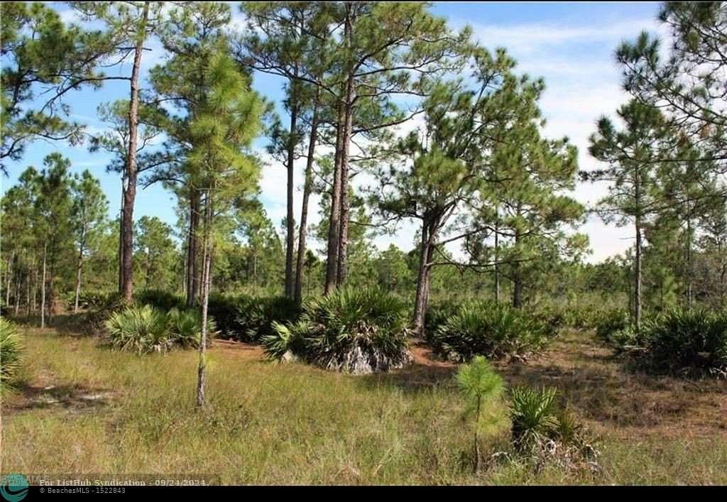 Residential Land for Sale in Lehigh Acres, Florida