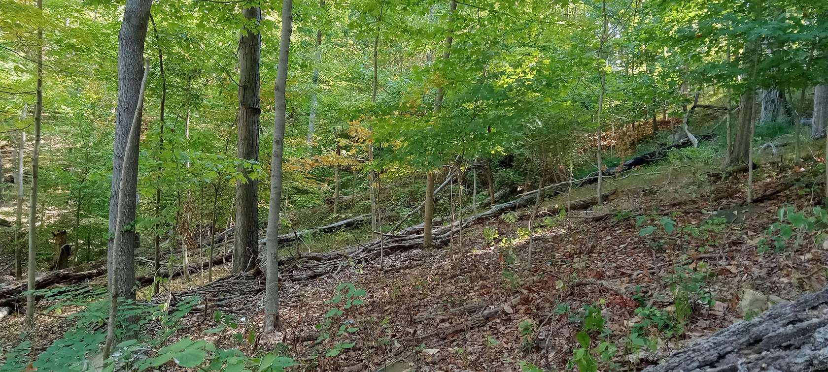 1.33 Acres of Residential Land for Sale in Huntington, West Virginia