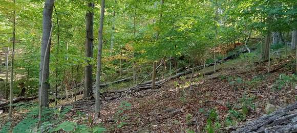 1.33 Acres of Residential Land for Sale in Huntington, West Virginia