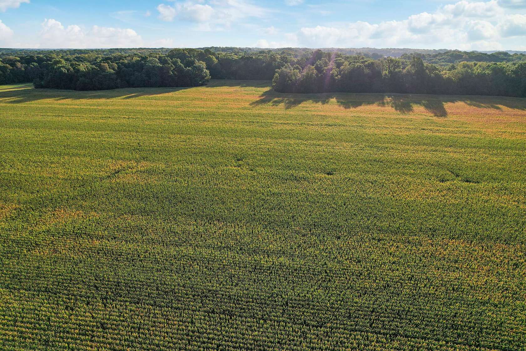 127 Acres of Recreational Land & Farm for Sale in Brazil, Indiana