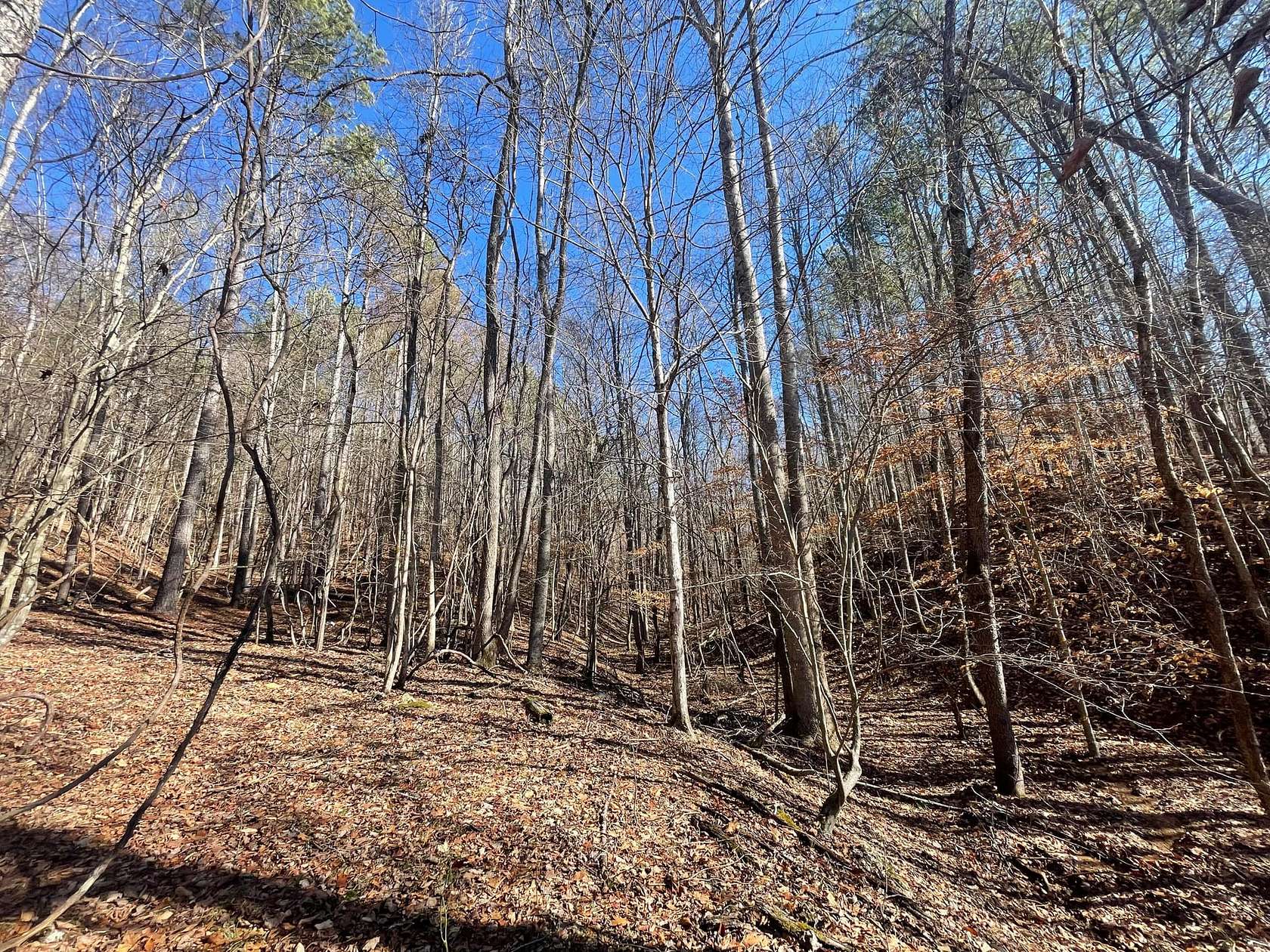 25.01 Acres of Recreational Land for Sale in Lutts, Tennessee