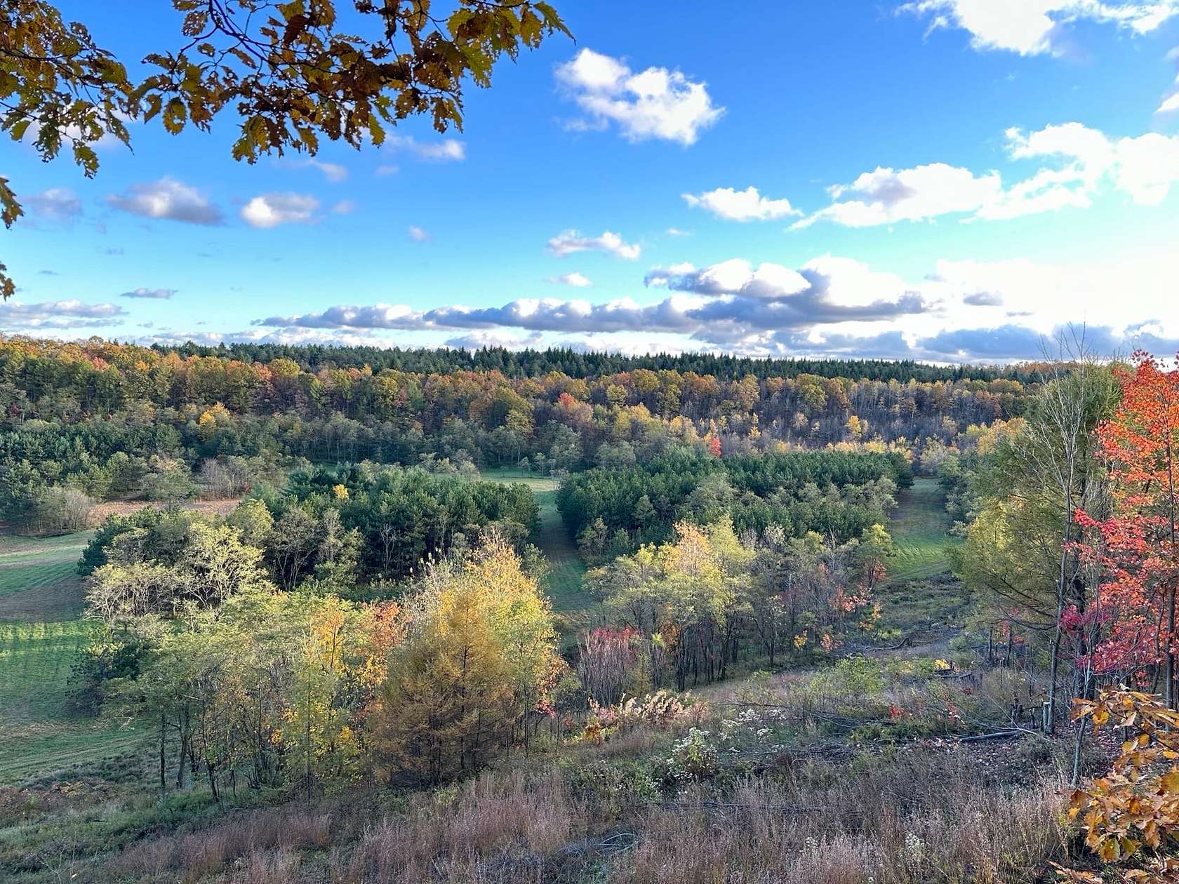 266 Acres of Recreational Land & Farm for Sale in West Decatur, Pennsylvania