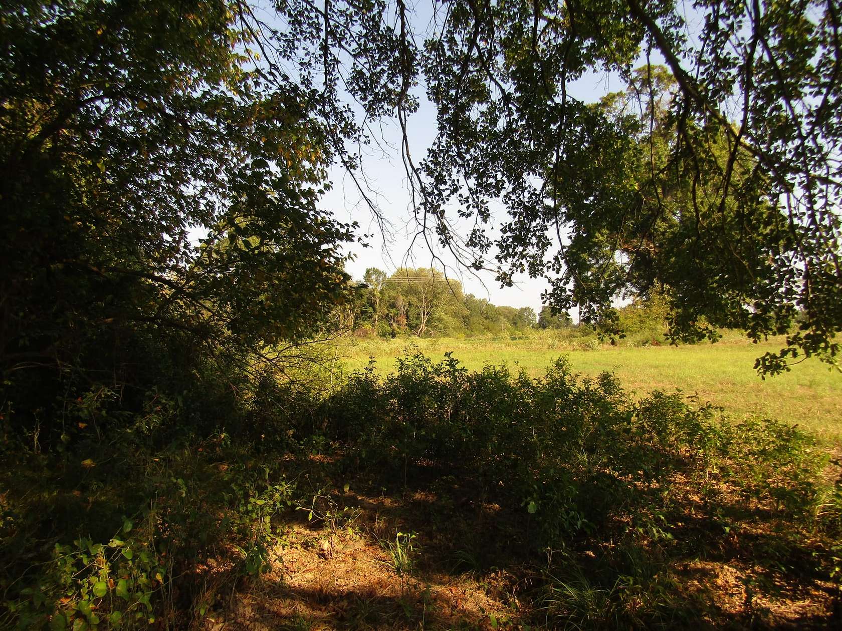 79 Acres of Recreational Land & Farm for Sale in Sawyer, Oklahoma