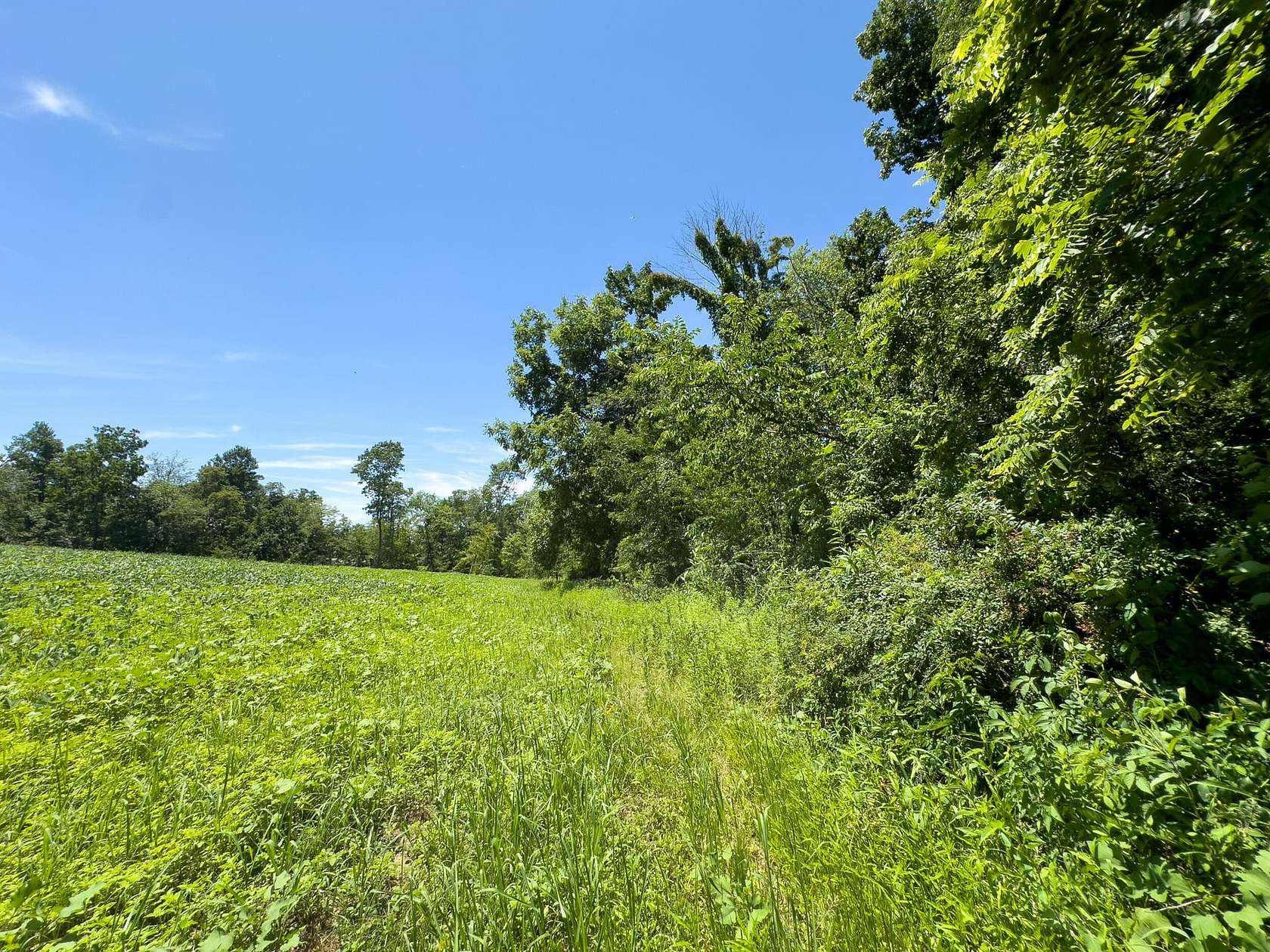 4.2 Acres of Residential Land for Sale in Hopewell, Ohio