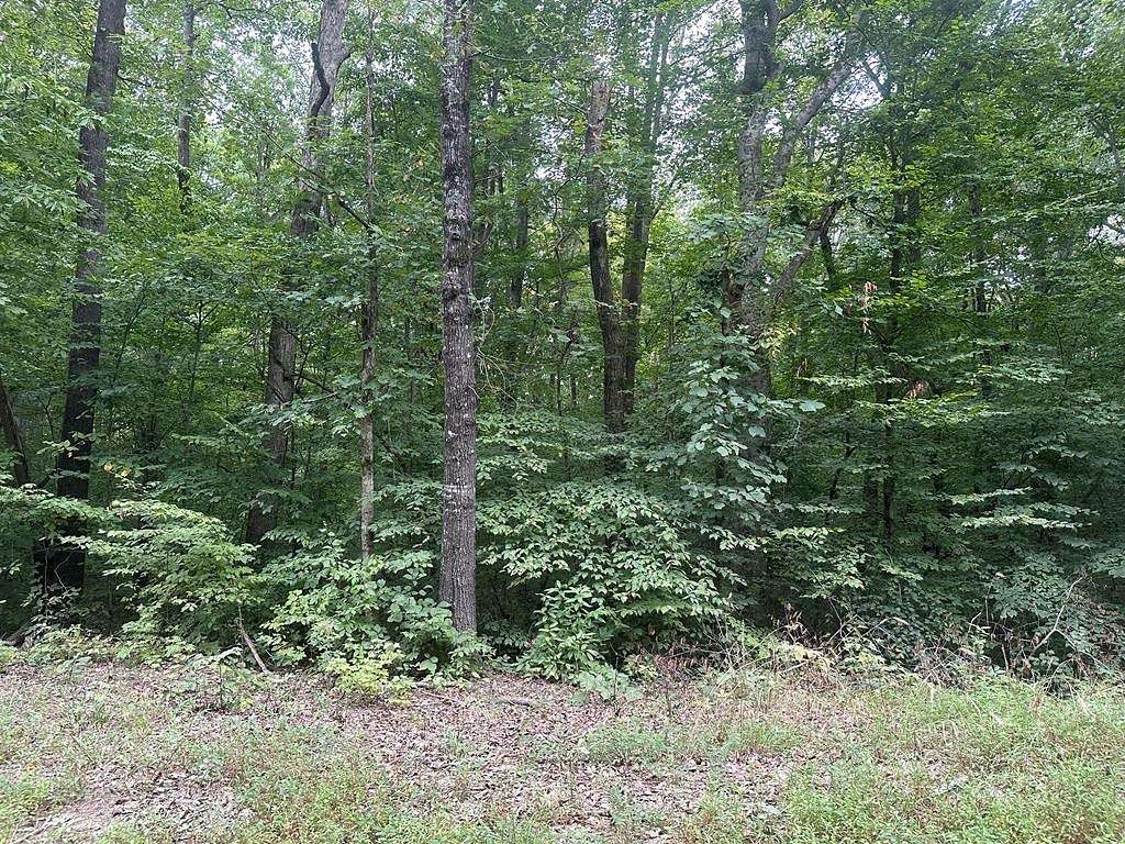 1.2 Acres of Residential Land for Sale in Clarksville, Virginia