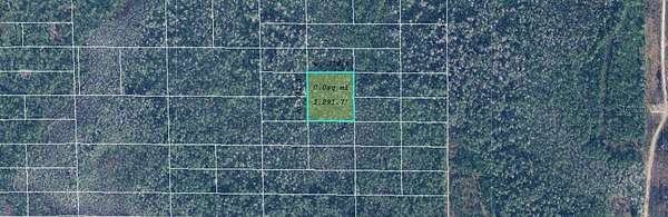 2.39 Acres of Residential Land for Sale in Orlando, Florida