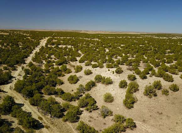 42 Acres of Recreational Land & Farm for Sale in Trinidad, Colorado