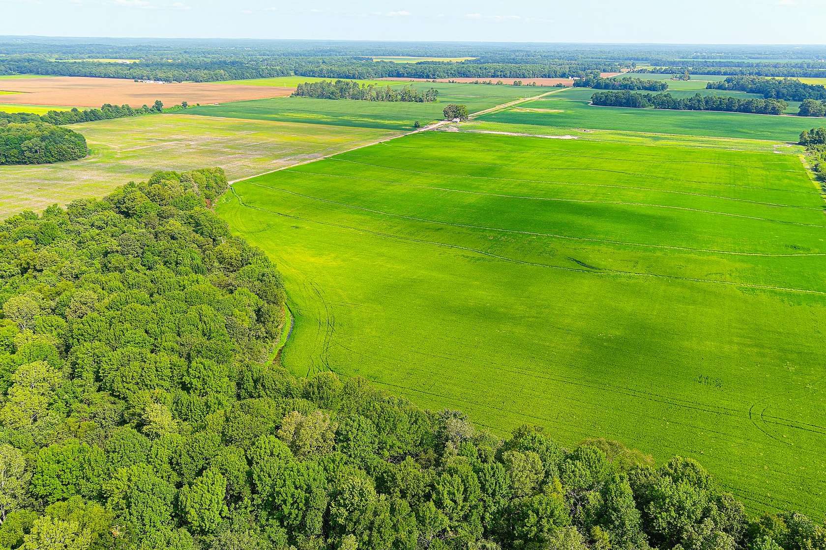 241 Acres of Recreational Land & Farm for Auction in Naylor, Missouri