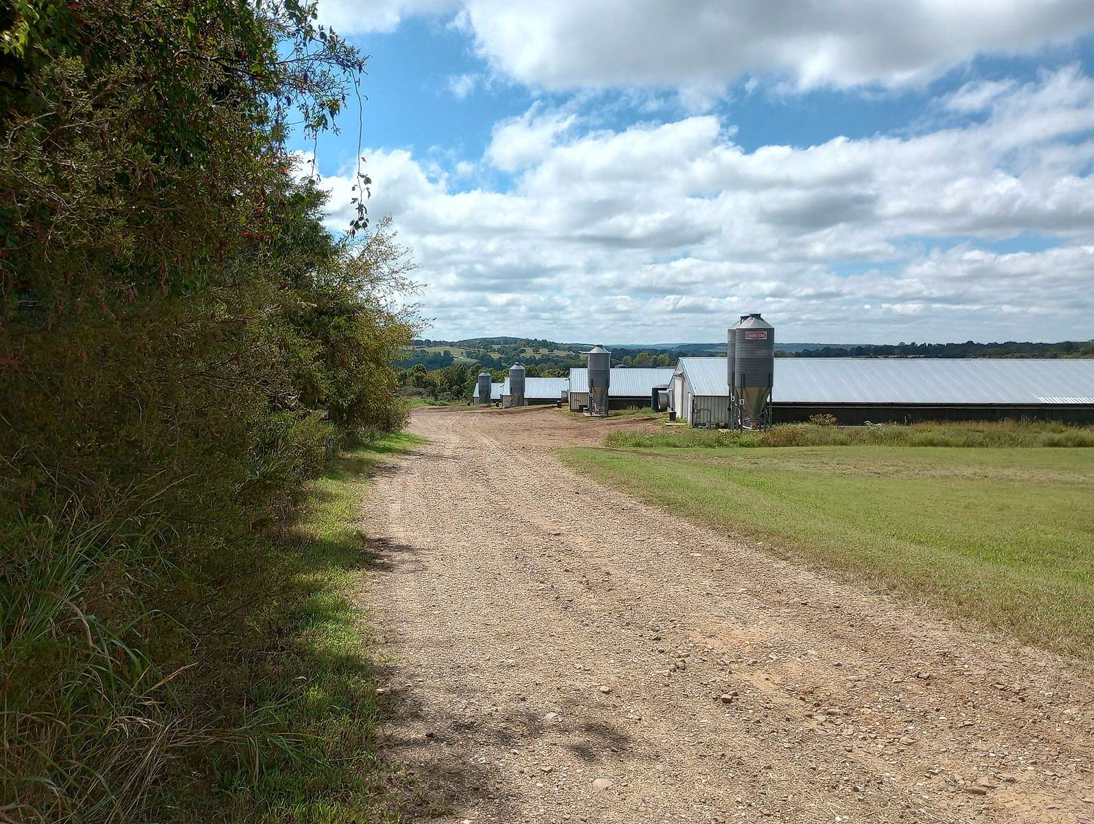 62 Acres of Land with Home for Sale in Huntsville, Arkansas