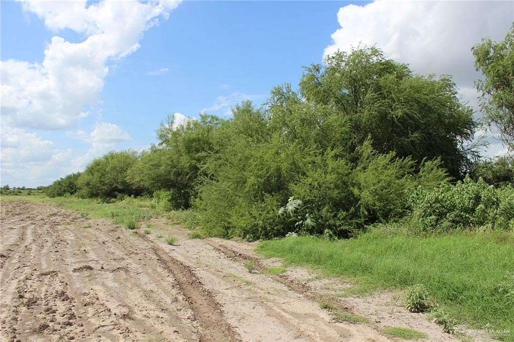 0.92 Acres of Commercial Land for Sale in Hidalgo, Texas