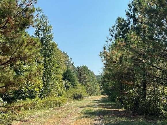 6.43 Acres of Residential Land for Sale in Warthen, Georgia