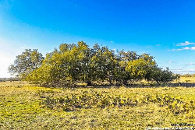 100 Acres of Land for Sale in Harper, Texas