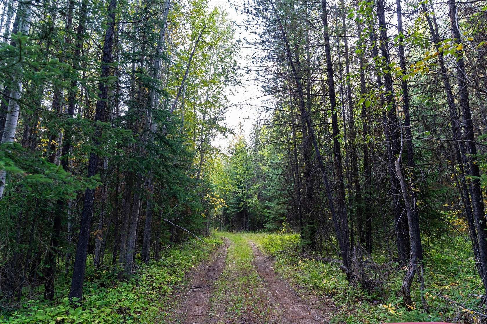 10 Acres of Recreational Land for Sale in Polebridge, Montana