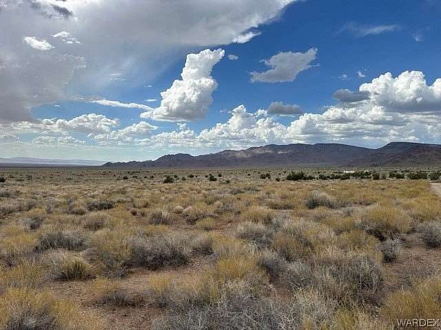 40 Acres of Recreational Land & Farm for Sale in Hackberry, Arizona