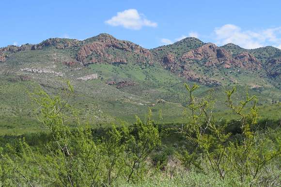 739 Acres of Recreational Land & Farm for Sale in Hereford, Arizona