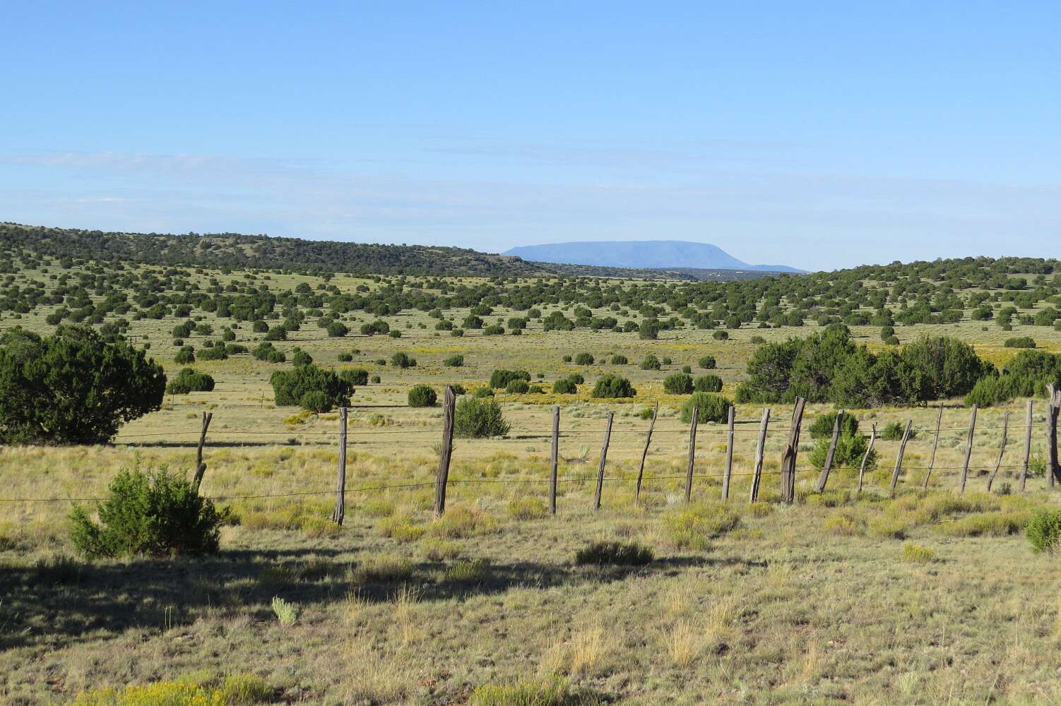 6,460 Acres of Land for Sale in Quemado, New Mexico