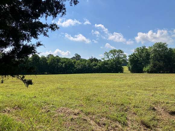 17 Acres of Land for Sale in Crawford, Mississippi