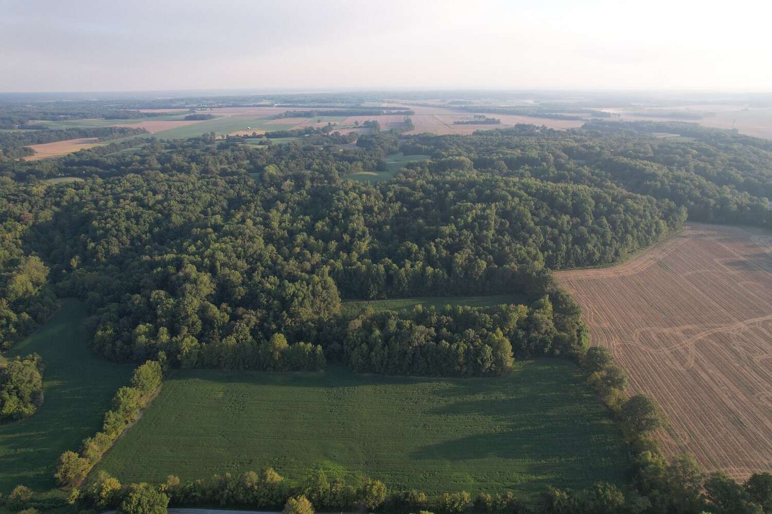 40 Acres of Recreational Land & Farm for Sale in Pulaski, Illinois