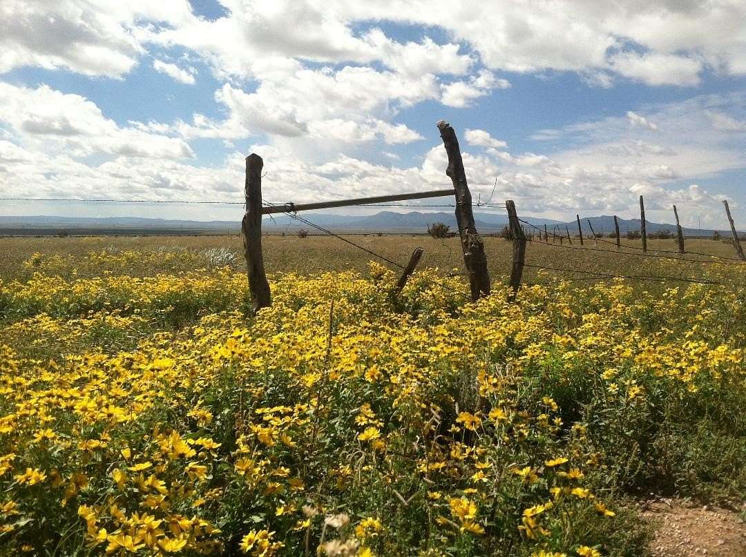 489.9 Acres of Recreational Land & Farm for Sale in Stanley, New Mexico