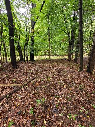 1.17 Acres of Land for Sale in Niles, Michigan