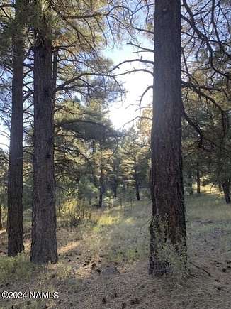 2.53 Acres of Residential Land for Sale in Parks, Arizona