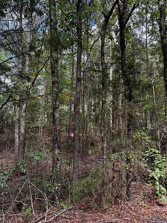 0.73 Acres of Land for Sale in Overton, Texas