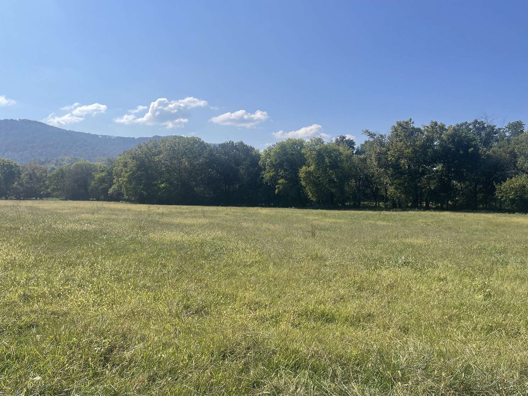 12.57 Acres of Land for Sale in Pikeville, Tennessee