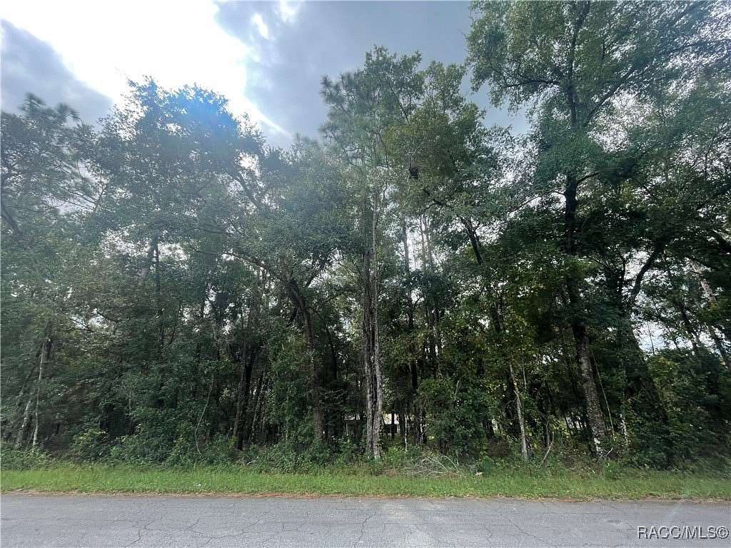 0.22 Acres of Residential Land for Sale in Inverness, Florida