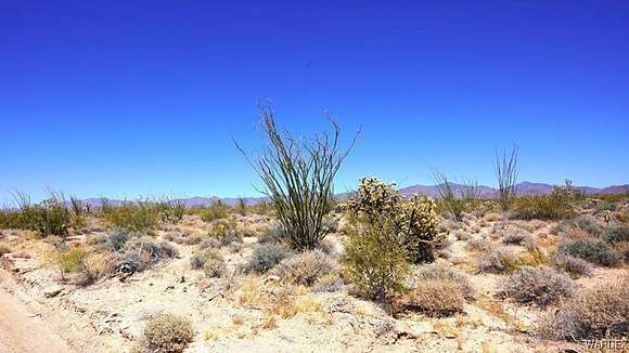 39.99 Acres of Recreational Land for Sale in Yucca, Arizona