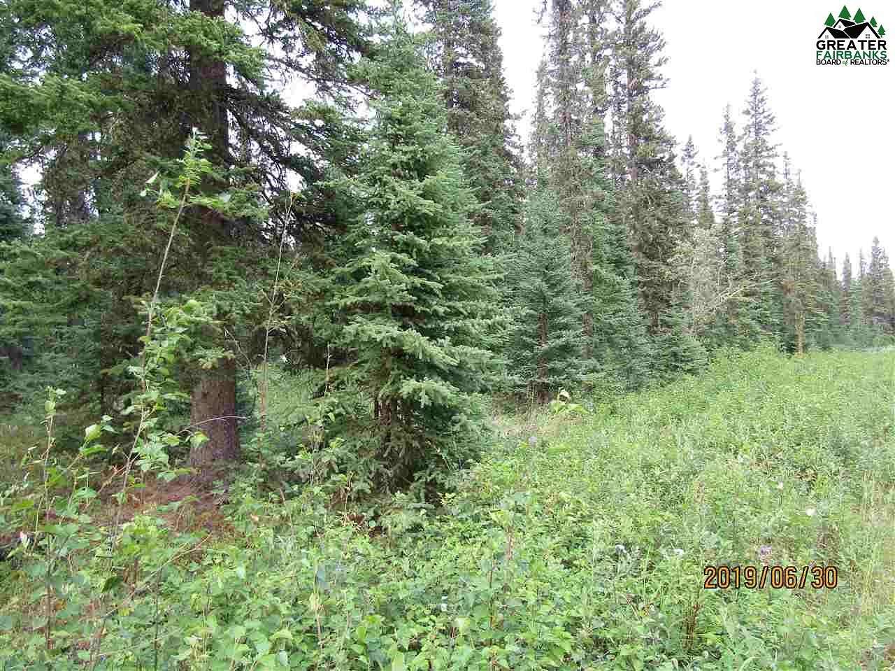 2.2 Acres of Residential Land for Sale in Delta Junction, Alaska