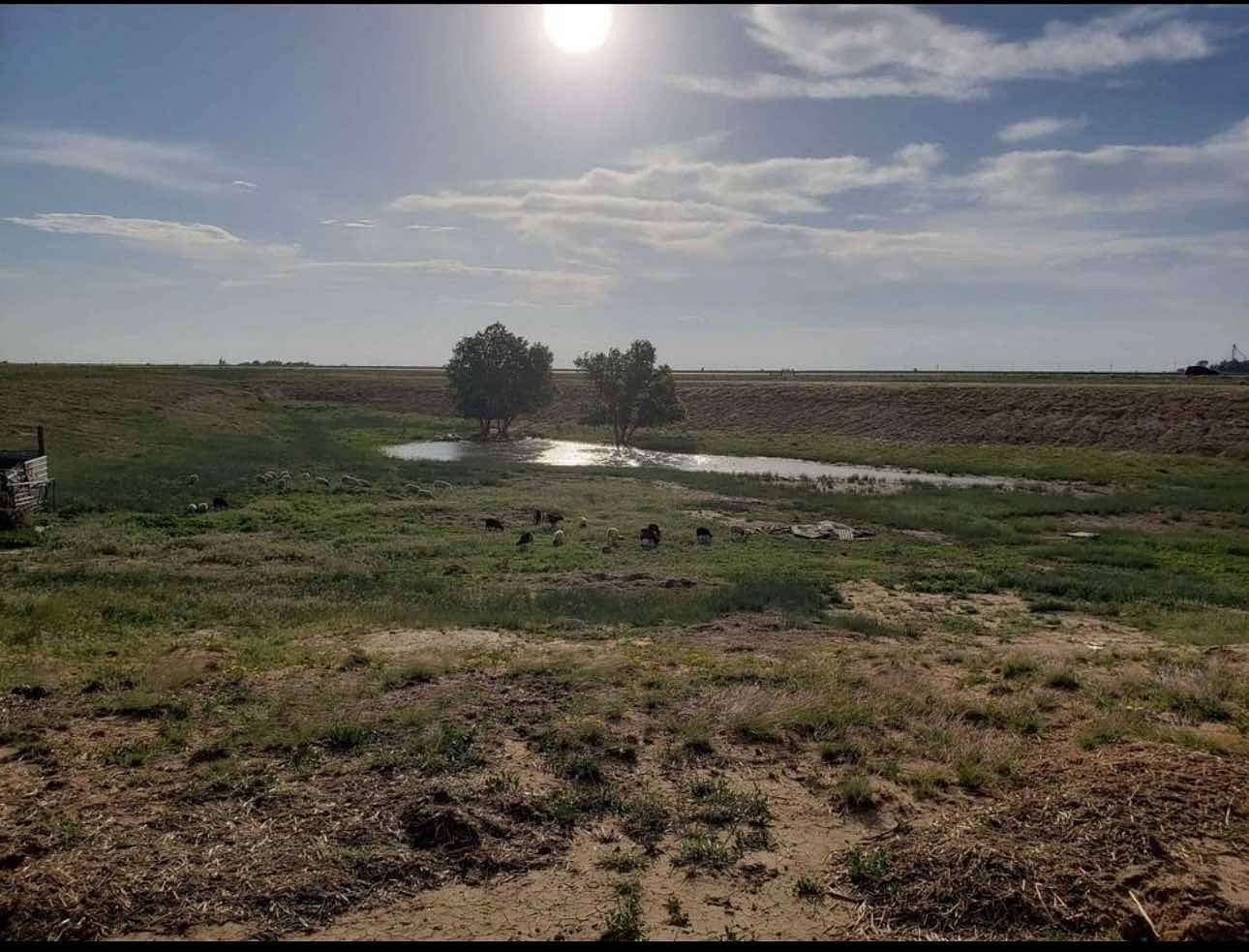 15.12 Acres of Land with Home for Sale in Hooker, Oklahoma