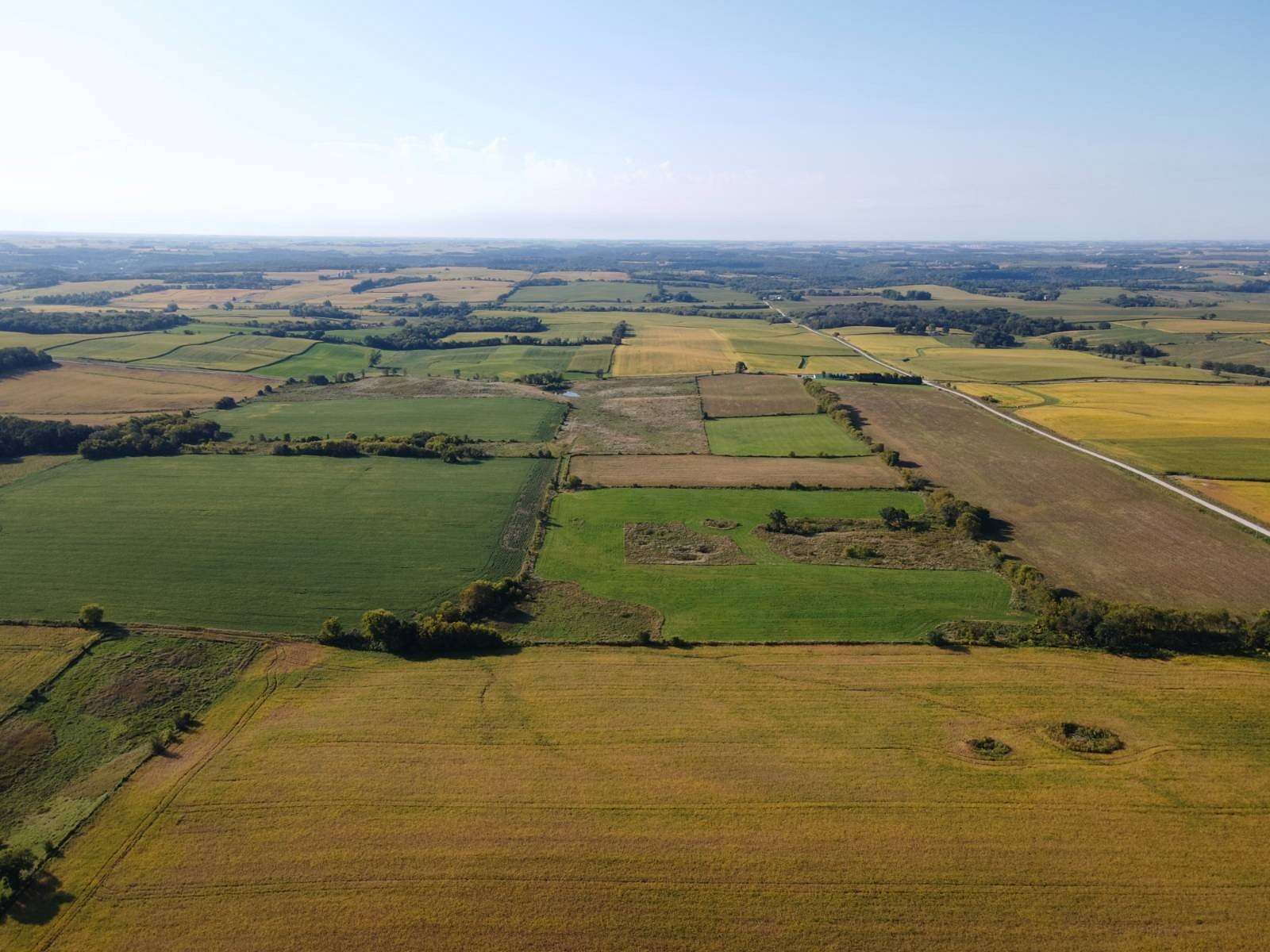 155 Acres of Land for Sale in Chatfield, Minnesota