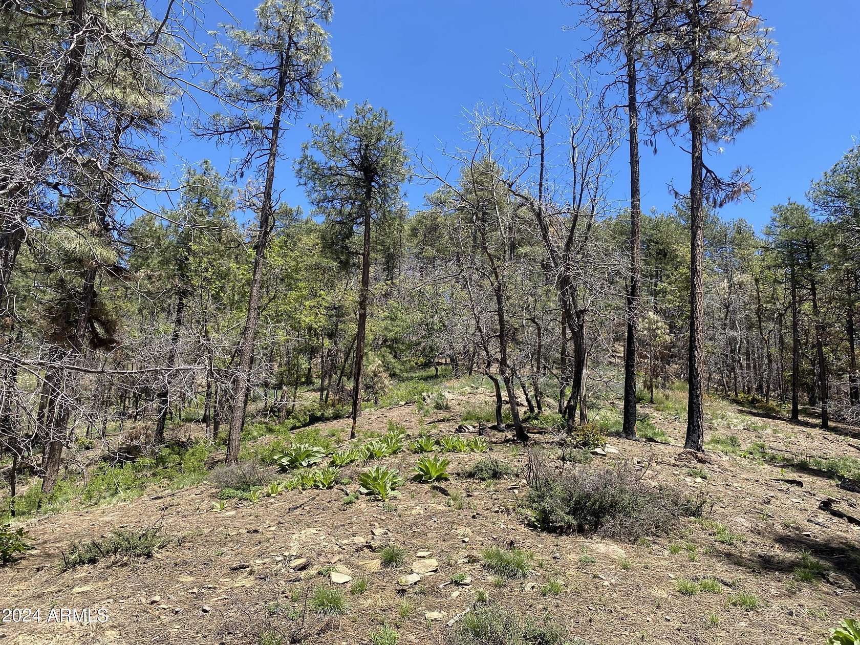 3.08 Acres of Land for Sale in Prescott, Arizona