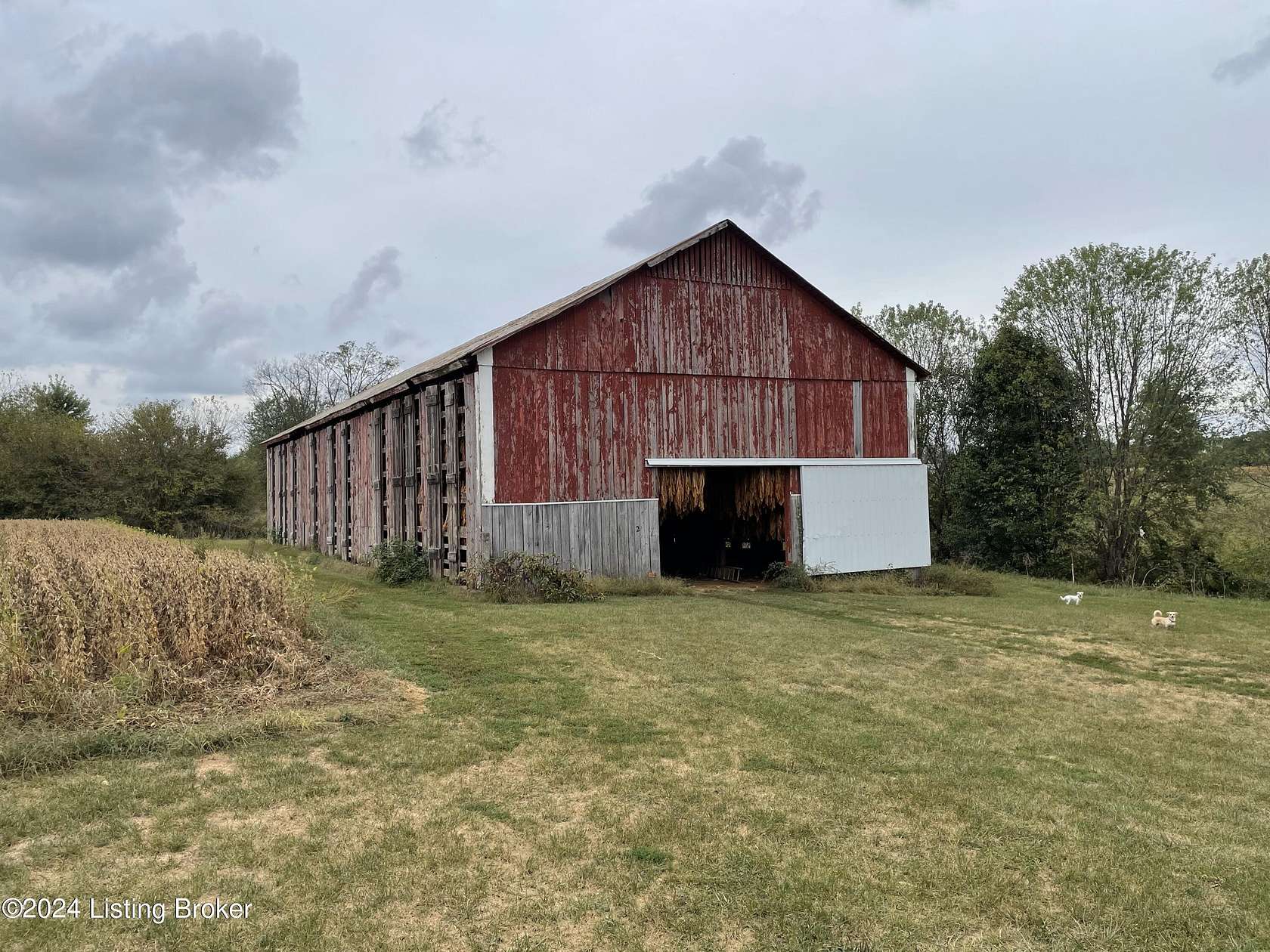 24.84 Acres of Agricultural Land for Sale in Shelbyville, Kentucky