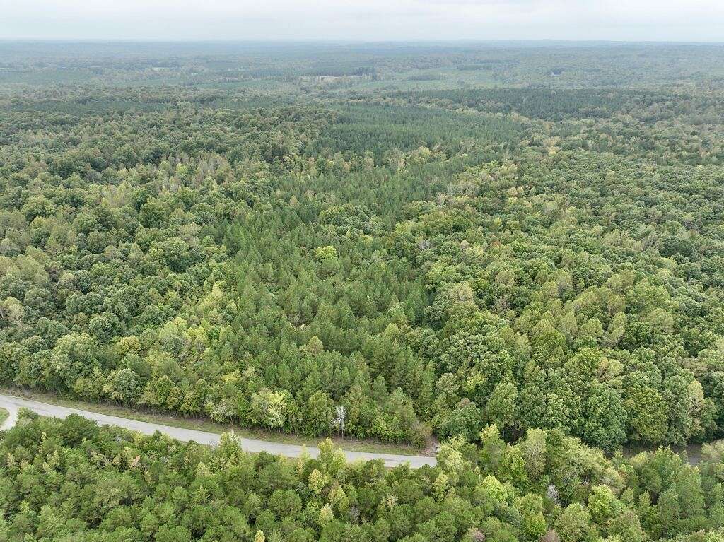 95.97 Acres of Land for Sale in Halifax, Virginia