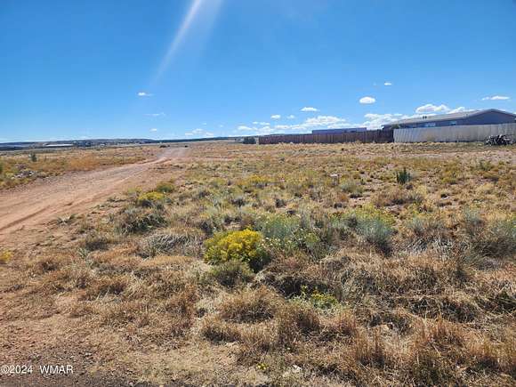 0.37 Acres of Residential Land for Sale in Taylor, Arizona