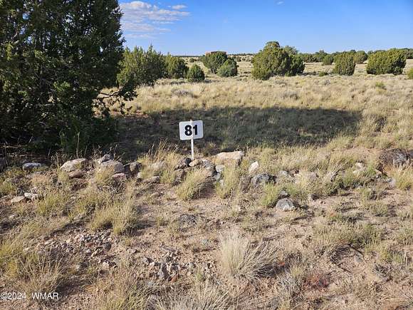 6.64 Acres of Land for Sale in Concho, Arizona