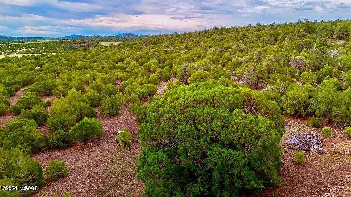 36.97 Acres of Recreational Land for Sale in Vernon, Arizona