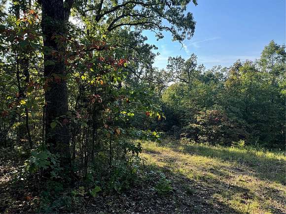 1.16 Acres of Residential Land for Sale in Perryville, Missouri