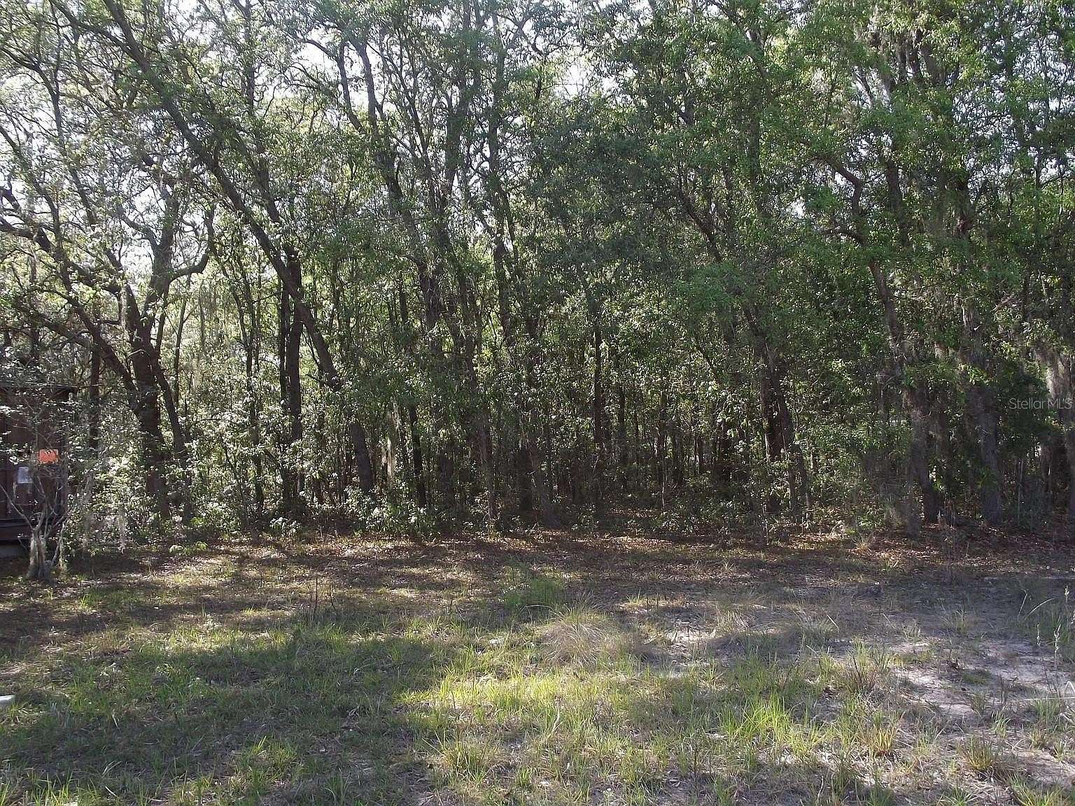 0.43 Acres of Residential Land for Sale in Interlachen, Florida