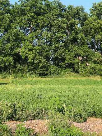 Residential Land for Sale in Scott Township, Iowa