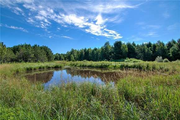 30 Acres of Land for Sale in Cadott, Wisconsin